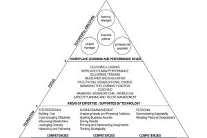 Figure 1. The 2004 ASTD Competency Model (Source: Bernthal et al., 2004)